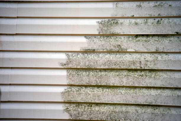 Best Hoarding Cleanup  in Orange Lake, NY